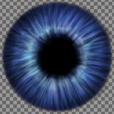 eye_iris_blue_saturated