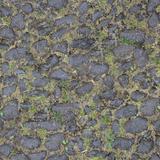 cobble_mossy_02