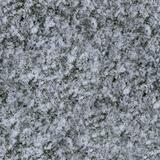 grass_snow_01