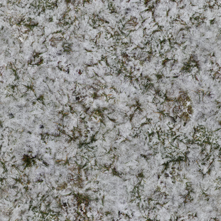 grass_snow_03-color-m.jpg