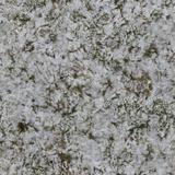 grass_snow_03