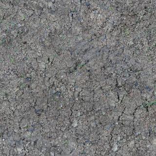 ground_dirt_05-color-m.jpg