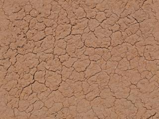 ground_dry_crackles-color-m.jpg