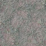 ground_dry_grass_01