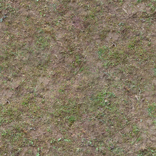 ground_grass_01-color-m.jpg