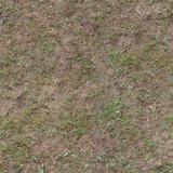 ground_grass_01