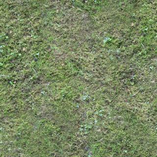 ground_mossy_01-color-m.jpg