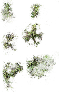 moss_patches-color-m.png