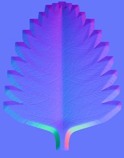 plants_leaf_birch_col_stylized-normal-m.jpg