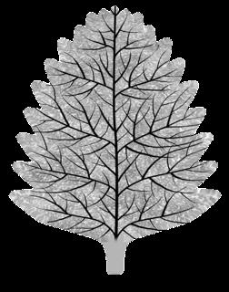 plants_leaf_birch_col_stylized-translucency-m.jpg