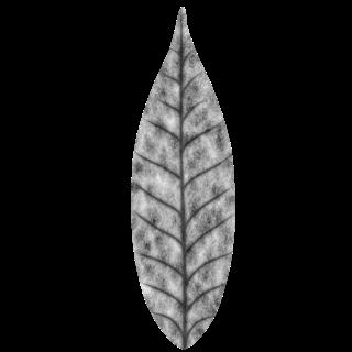 plants_leaf_bush_col_stylized-bump-m.jpg