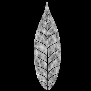 plants_leaf_bush_col_stylized-translucency-m.jpg