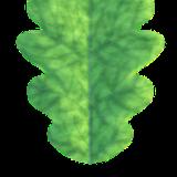 plants_leaf_oak_col_stylized