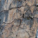 rock_large_04