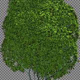 tree_generic_stylized_01