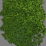 tree_generic_stylized_02