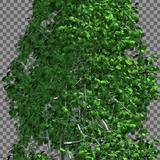 tree_generic_stylized_03