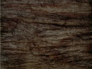 wood_panel_01-color-m.jpg