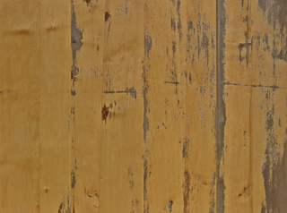 wood_planks_10-color-m.png