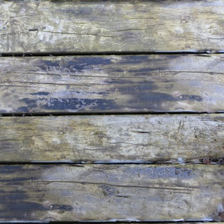 wood_planks_frozen-color-m.jpg