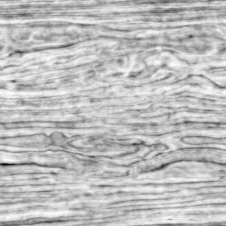 wood_solid_14-displacement-m.png